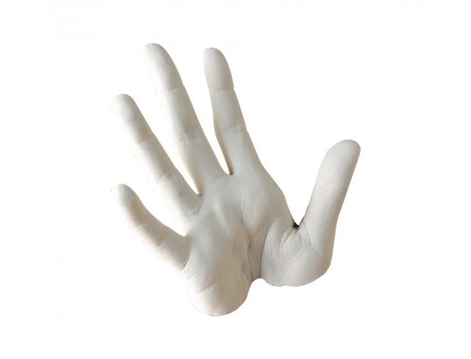 Alginate de moulage 500gr graine creative empreintes corporelles et alimentaires