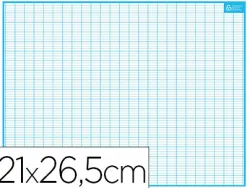Ardoise bouchut grandrémy effaçable sec 1 face quadrillage 1 face séyès médium rigide format 21x26,5cm