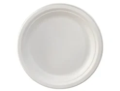 Assiette plate ivoire coldis fibres vegetales biodegradable diametre 23cm sachet 50 unites