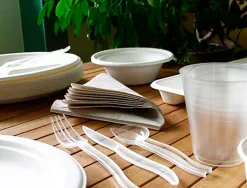 Assiette plate ivoire coldis fibres vegetales biodegradable diametre 23cm sachet 50 unites