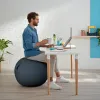 Ballon d'assise ergonomique leitz ergo cosy active gris 65cm diametre