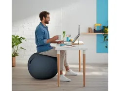 Ballon d'assise ergonomique leitz ergo cosy active gris 65cm diametre