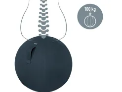 Ballon d'assise ergonomique leitz ergo cosy active gris 65cm diametre