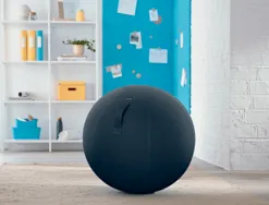 Ballon d'assise ergonomique leitz ergo cosy active gris 65cm diametre
