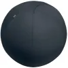 Ballon d'assise leitz anti-basculement ergo leste diam. 75cm coloris gris fonce