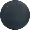 Ballon d'assise leitz anti-basculement ergo leste diam. 55cm coloris gris fonce