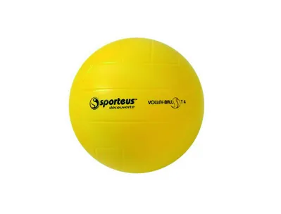 Ballon de volley ball plastico rototech initiation smashy minime en pvc diamètre 203mm 270g