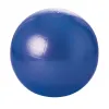 Ballons geants tremblay balle gymnique pvc regonflable differentes tailles poids maxi 100 kg 55 cm