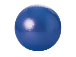 Ballons geants tremblay balle gymnique pvc regonflable differentes tailles poids maxi 100 kg 55 cm