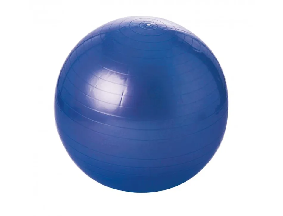Ballons geants tremblay balle gymnique pvc regonflable differentes tailles poids maxi 100 kg 55 cm