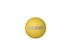 Ballons tous sports first loisirs robuste 21 cm surface lisse ecoles garderie ou autres activites coloris