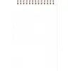 Bloc clairefontaine my task manager nomaddict reliure integrale 120x200mm 250p detachables reglure pre-imprimee tabac
