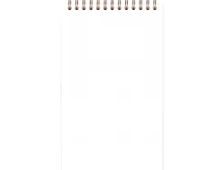 Bloc clairefontaine my task manager nomaddict reliure integrale 120x200mm 250p detachables reglure pre-imprimee tabac