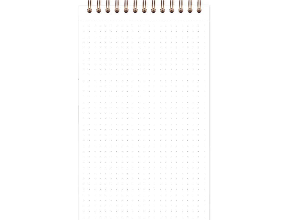 Bloc clairefontaine my task manager nomaddict reliure integrale 120x200mm 250p detachables reglure pre-imprimee tabac
