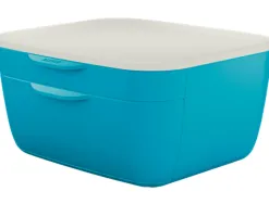 Bloc de classement leitz cosy polystyrene. coloris bleu. dimensions: 251 x 143 x 275mm