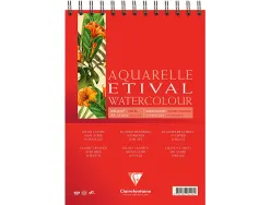 Bloc etival aquarelle clairefontaine a3 10f