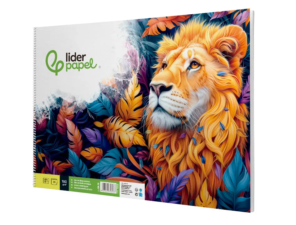 Bloc liderpapel papier dessin artistique spirale sans encadrement 180g/m2 format a3 460x325mm 20f