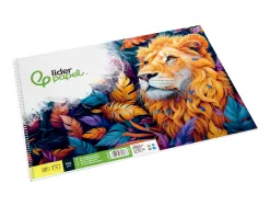 Bloc liderpapel papier dessin artistique spirale sans encadrement 180g/m2 format a3 460x325mm 20f