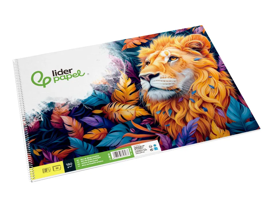 Bloc liderpapel papier dessin artistique spirale sans encadrement 180g/m2 format a3 460x325mm 20f