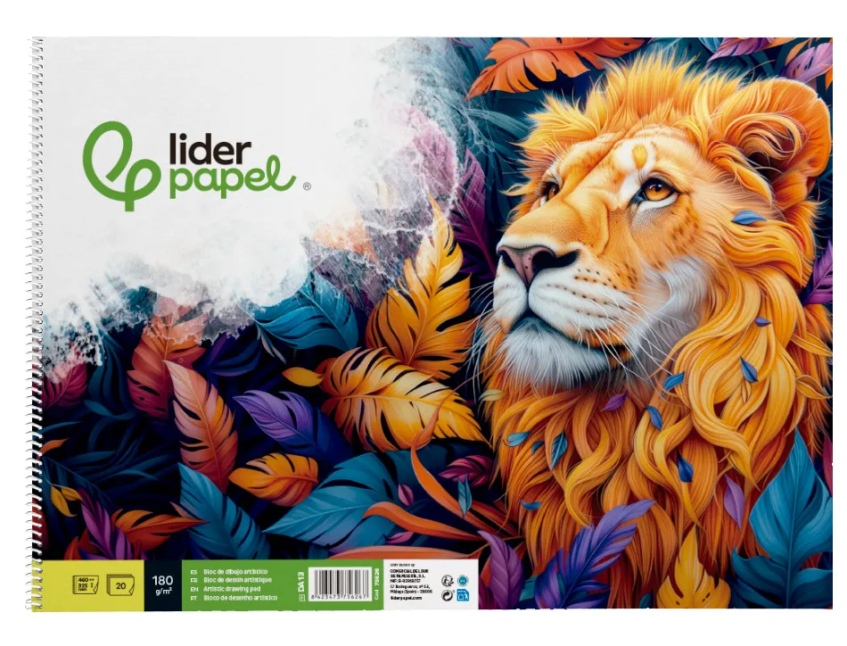 Bloc liderpapel papier dessin artistique spirale sans encadrement 180g/m2 format a3 460x325mm 20f