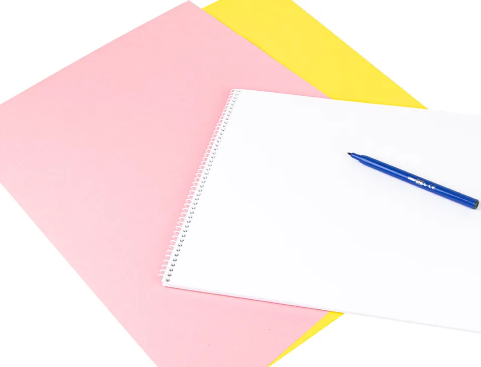 Bloc liderpapel papier dessin artistique spirale sans encadrement 180g/m2 format a3 460x325mm 20f