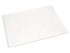 Bloc liderpapel papier dessin artistique spirale sans encadrement 180g/m2 format a3 460x325mm 20f