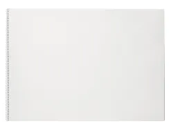 Bloc liderpapel papier dessin artistique spirale sans encadrement 180g/m2 format a3 460x325mm 20f