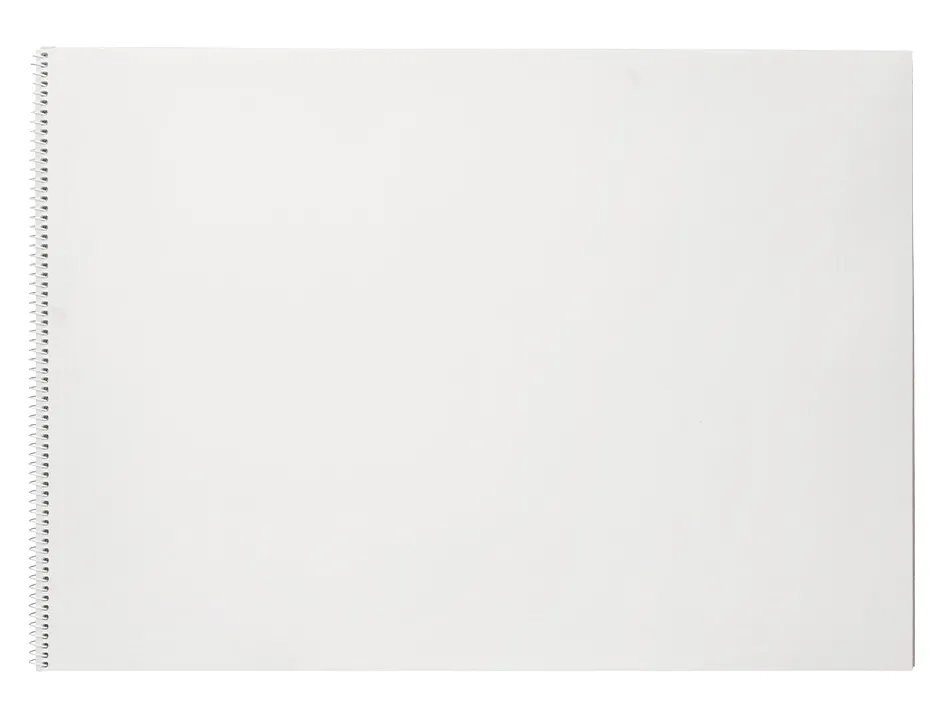 Bloc liderpapel papier dessin artistique spirale sans encadrement 180g/m2 format a3 460x325mm 20f