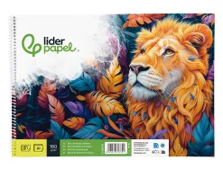 Bloc liderpapel papier dessin artistique spirale avec encadrement 180g/m2 format a3 460x325mm 20f