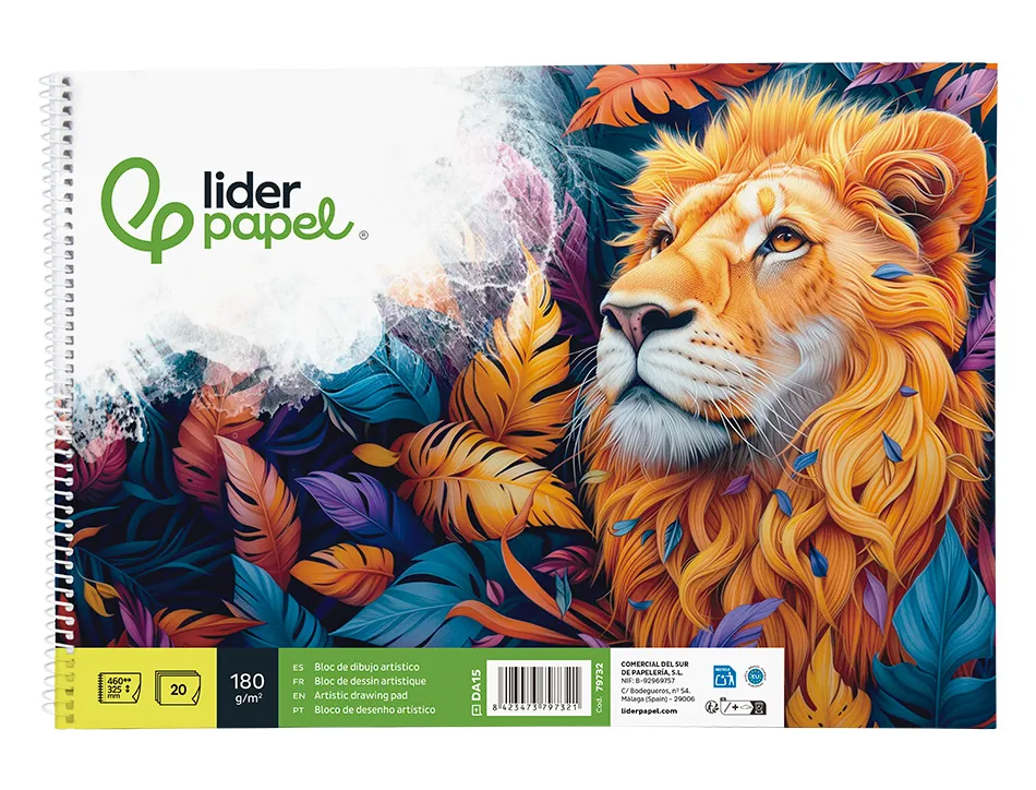 Bloc liderpapel papier dessin artistique spirale avec encadrement 180g/m2 format a3 460x325mm 20f