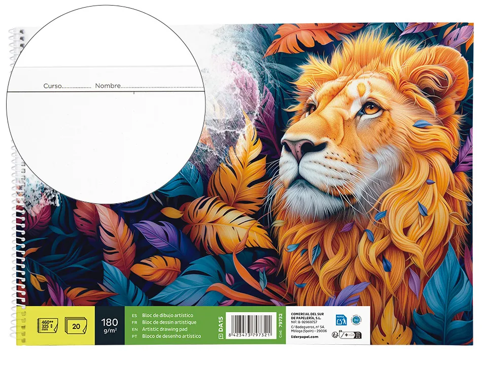 Bloc liderpapel papier dessin artistique spirale avec encadrement 180g/m2 format a3 460x325mm 20f