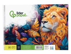 Bloc liderpapel papier dessin artistique spirale sans encadrement 180g/m2 format a4+ 230x325mm 20f
