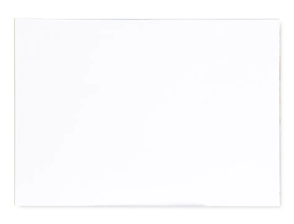 Bloc liderpapel papier dessin artistique encollé sans encadrement 180g/m2 format a4+ 230x325mm 20f