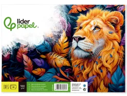Bloc liderpapel papier dessin artistique encollé sans encadrement 180g/m2 format a4+ 230x325mm 20f