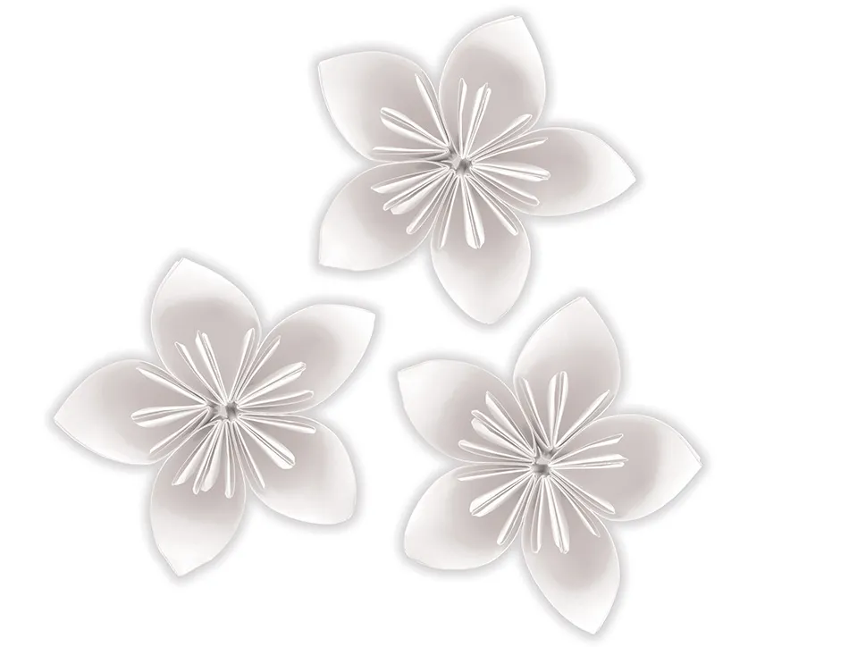 Bloc papier dessin liderpapel 240x315mm 180g/m2 10f coloris blanc