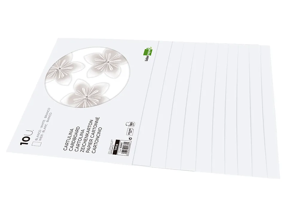 Bloc papier dessin liderpapel 240x315mm 180g/m2 10f coloris blanc