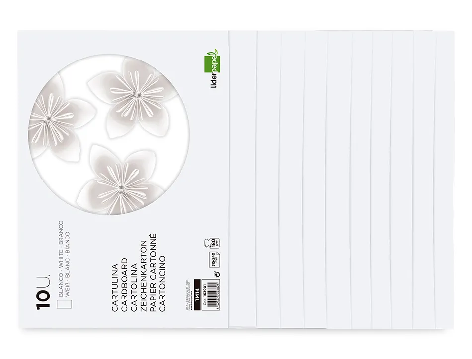 Bloc papier dessin liderpapel 240x315mm 180g/m2 10f coloris blanc