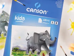 Bloc peinture canson papier dessin spécial gouache résistant eau 200g a4 210x297mm paquet 20f