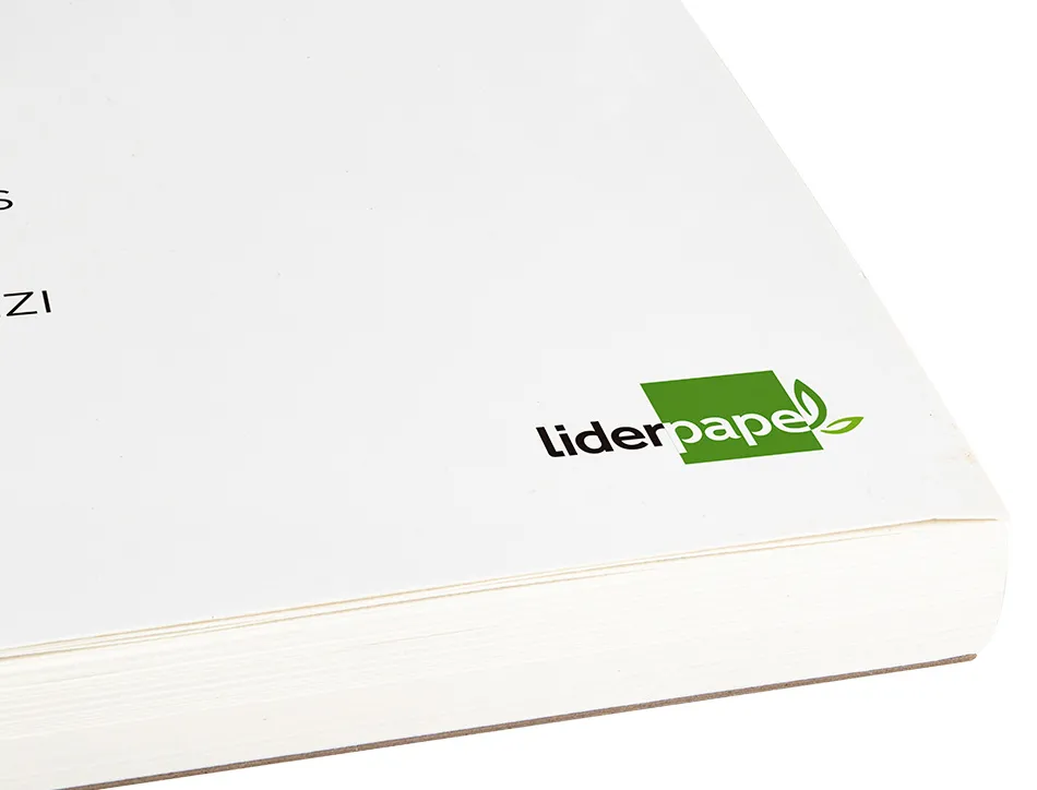 Bloc spirale liderpapel esquisses uni 90g/m2 a3 100f