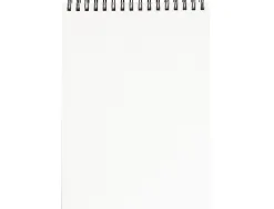 Bloc spirale liderpapel esquisses uni 90g/m2 a3 100f
