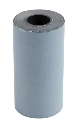 Bobine thermique exacompta exablue tpe 57x30mm 55g long. 9m impression verso tres longue conservation boite 20 unites