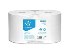 Bobines essuyage industriel papernet blanc 2 plis pure cellulose 1000 formats longueur 305 m lot 2