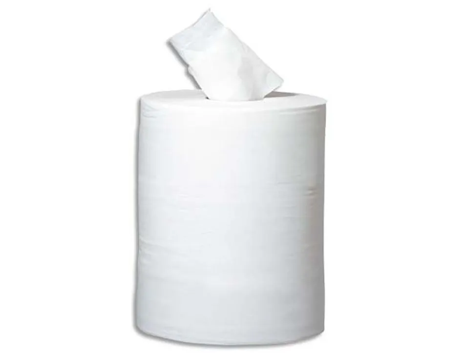 Bobines essuyage papernet dévidage central blanc 2 plis pure cellulose 450 formats longueur 108 m lot 6