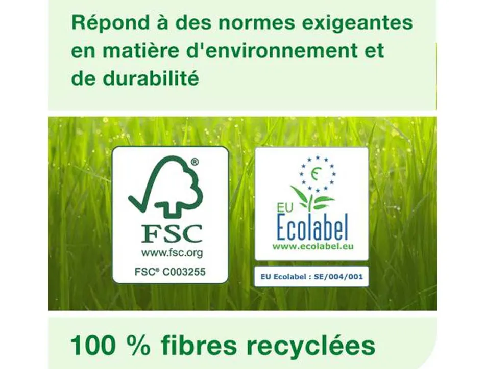 Bobines essuyage tork basic bleues 2 plis dévidage central m2 150 m format 20 x 35 cm lot 6