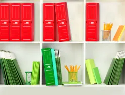 Boite a archives liderpapel polypropylene ondule dos 100mm 360x100x260mm coloris rouge