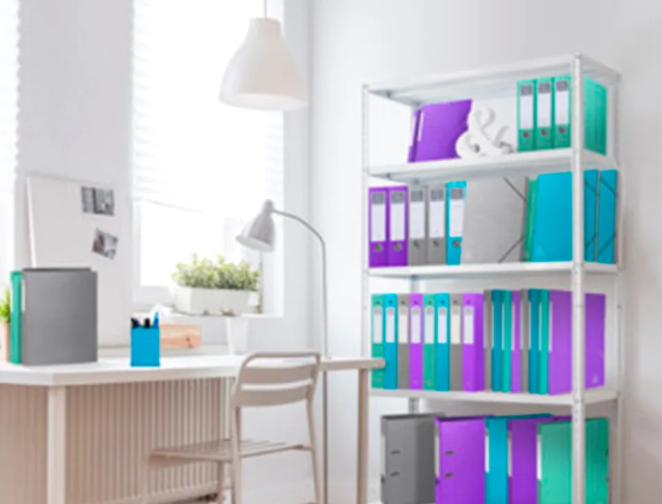 Boite de classement exabox carte enduite teksto dos 40mm assortiment