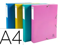 Boite de classement exacompta forever young a4 polypropylene dos 40mm