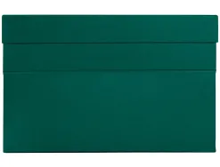 Boite de transfert liderpapel dos 118mm 390x118x260mm coloris vert