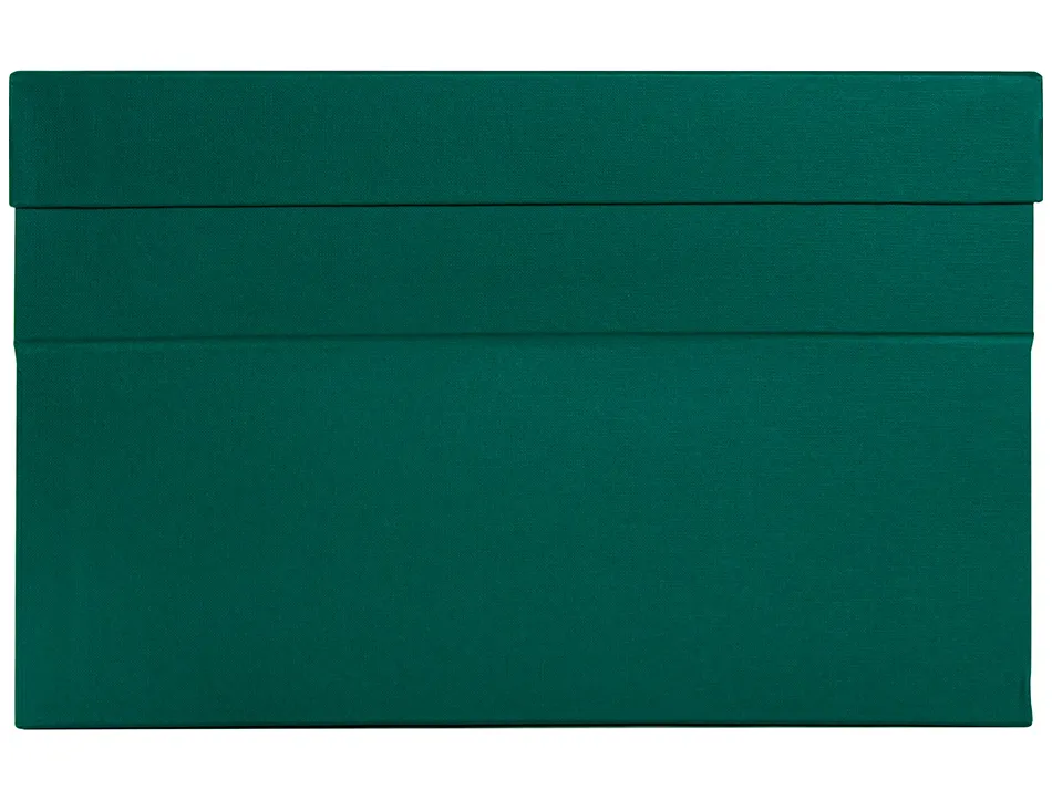 Boite de transfert liderpapel dos 118mm 390x118x260mm coloris vert