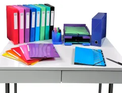 Boite transfert exacompta iderama carton recouvert papier toile 16/10e a4 25x33cm dos 120mm oeillet